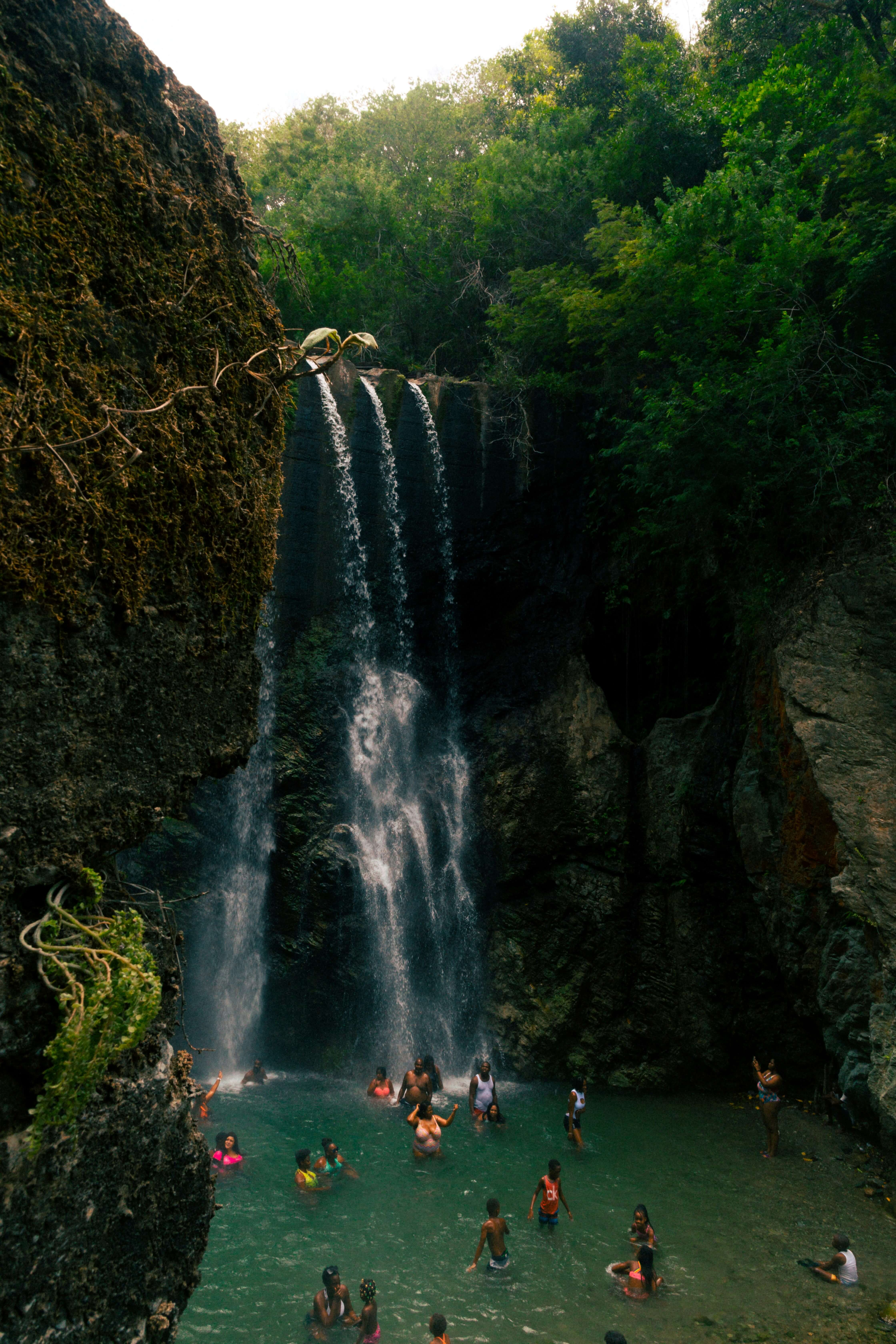 stunning view of St. Thomas, Jamaica with lush greenery and a serene coastline